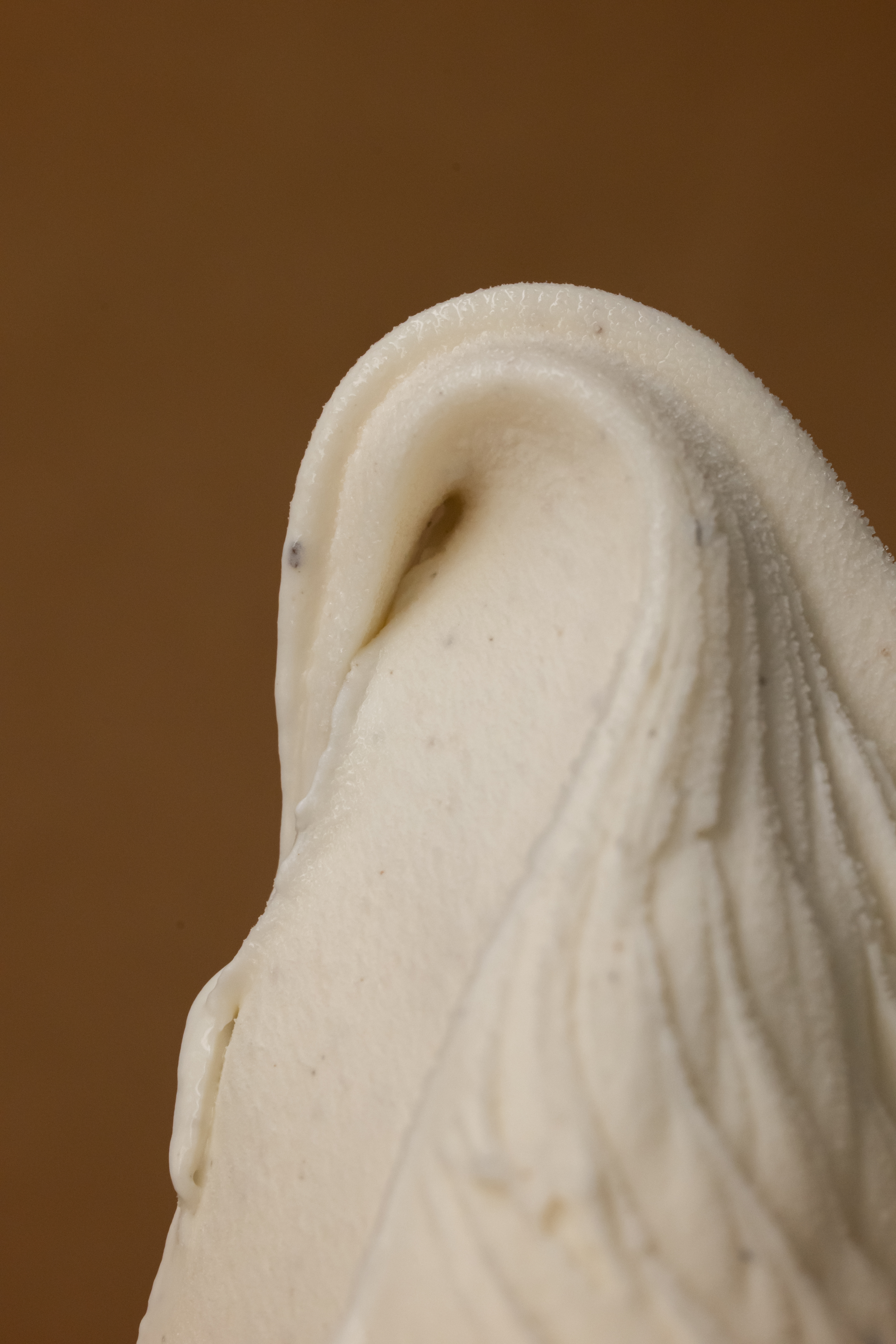 Vanille Bourbon Paste