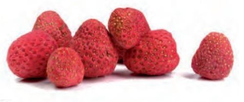 @ Erdbeeren Rot (60g)