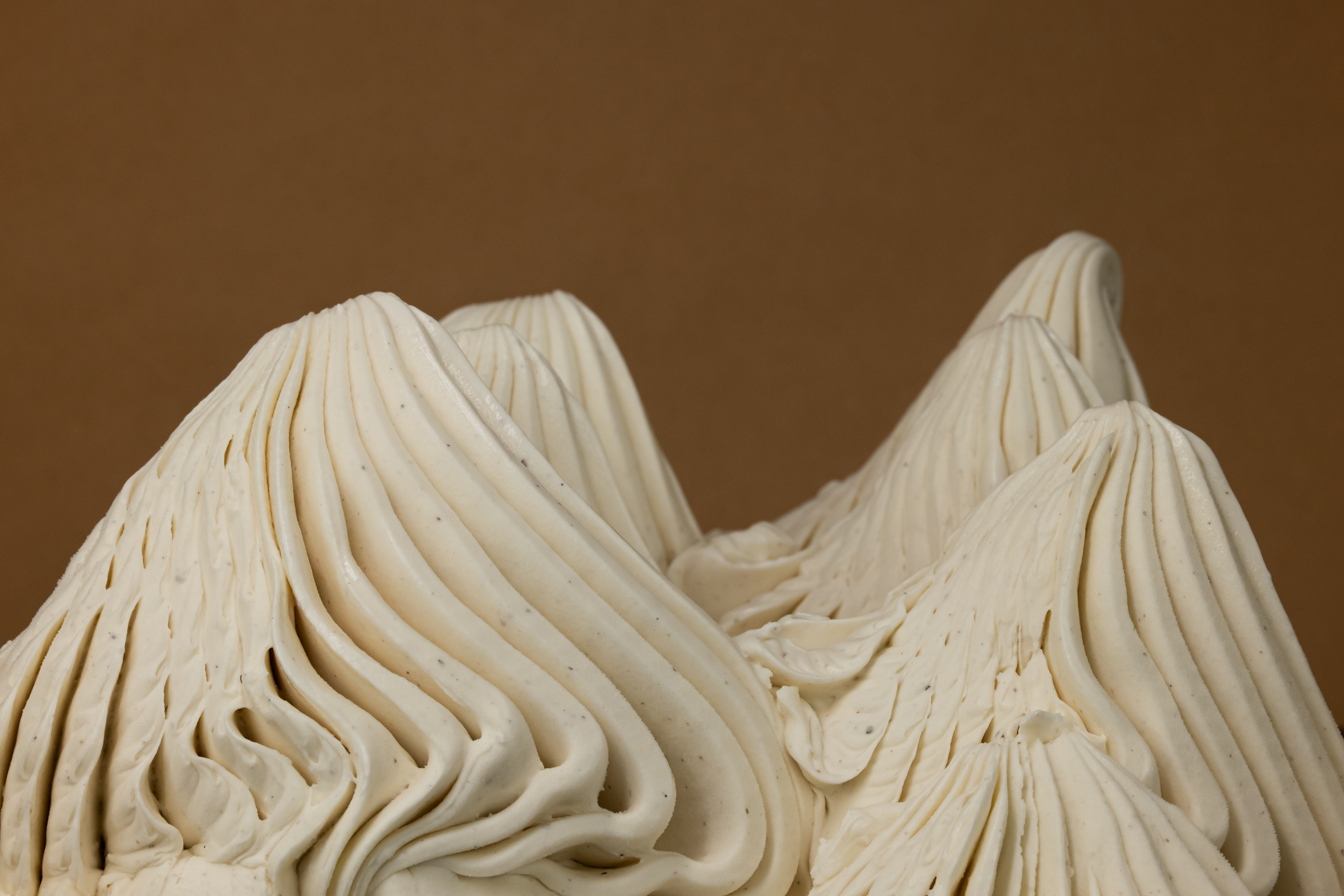 Vanille Bourbon Paste