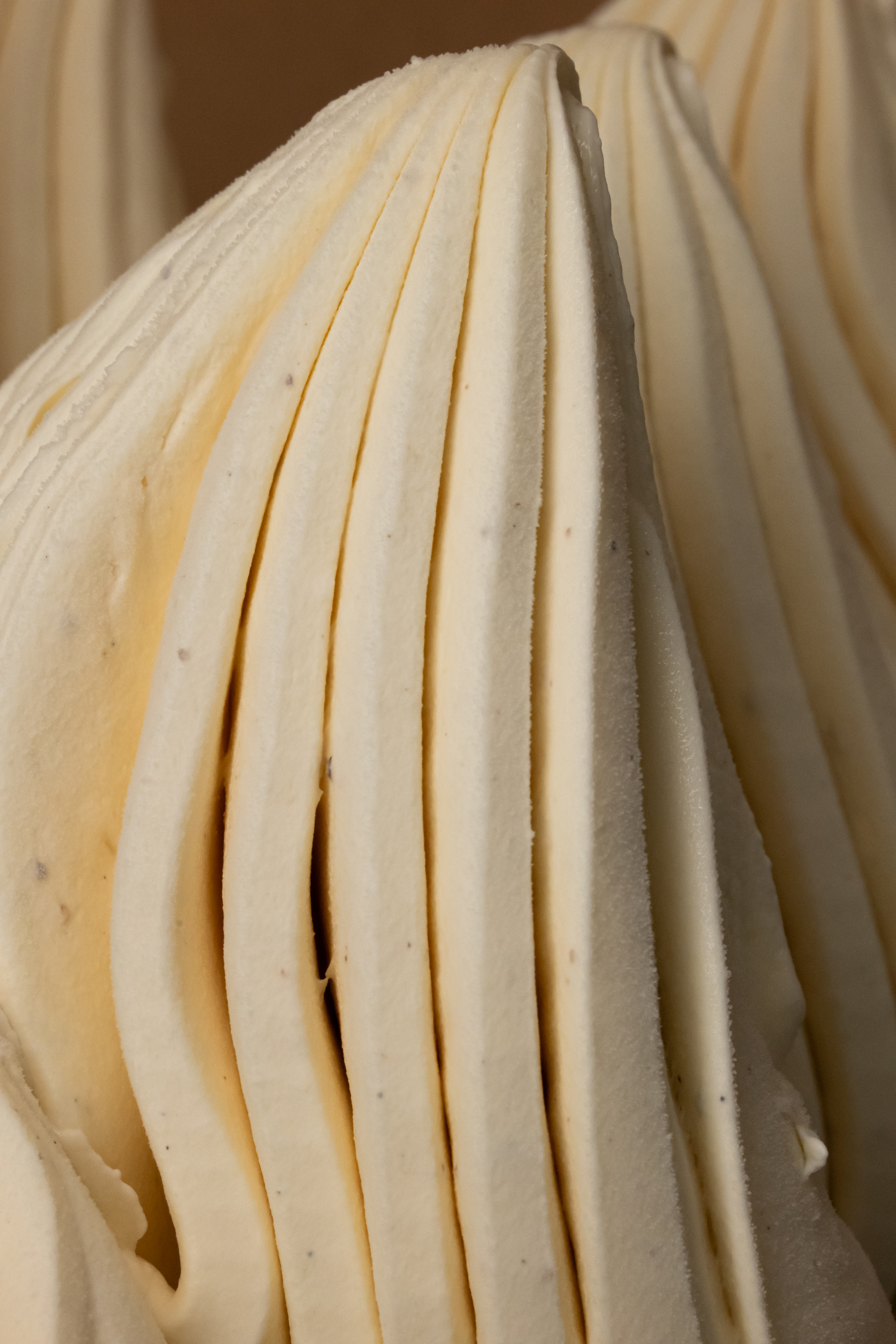 Vanille | Vaniglia Paste Excellence