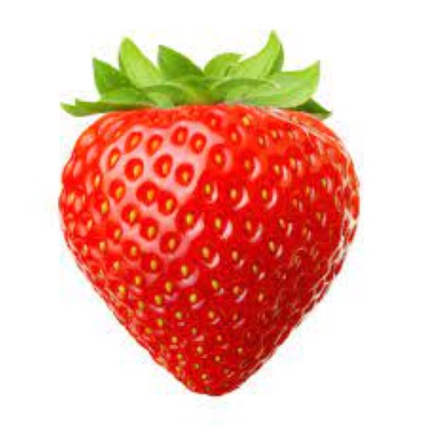 BIO Erdbeer | Fragola Variegato
