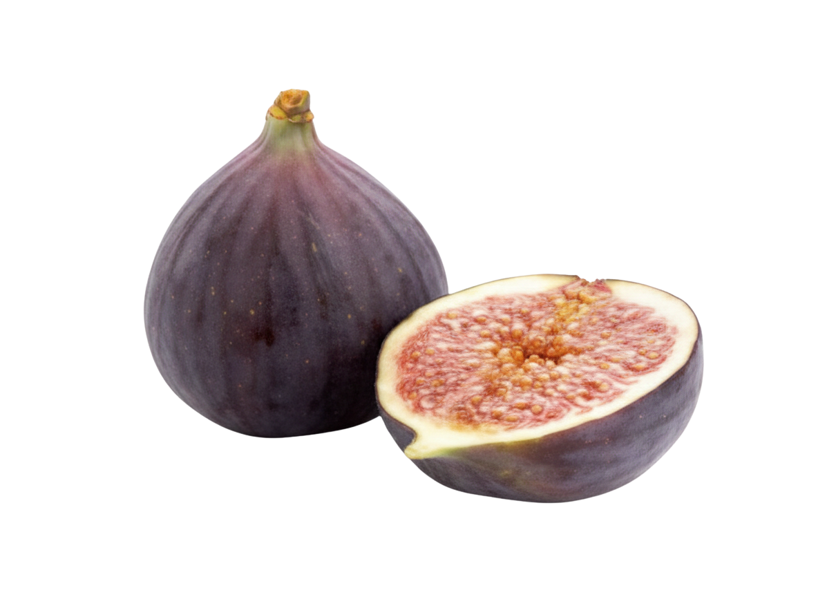 Feige | Fico Stracciatella | Variegato