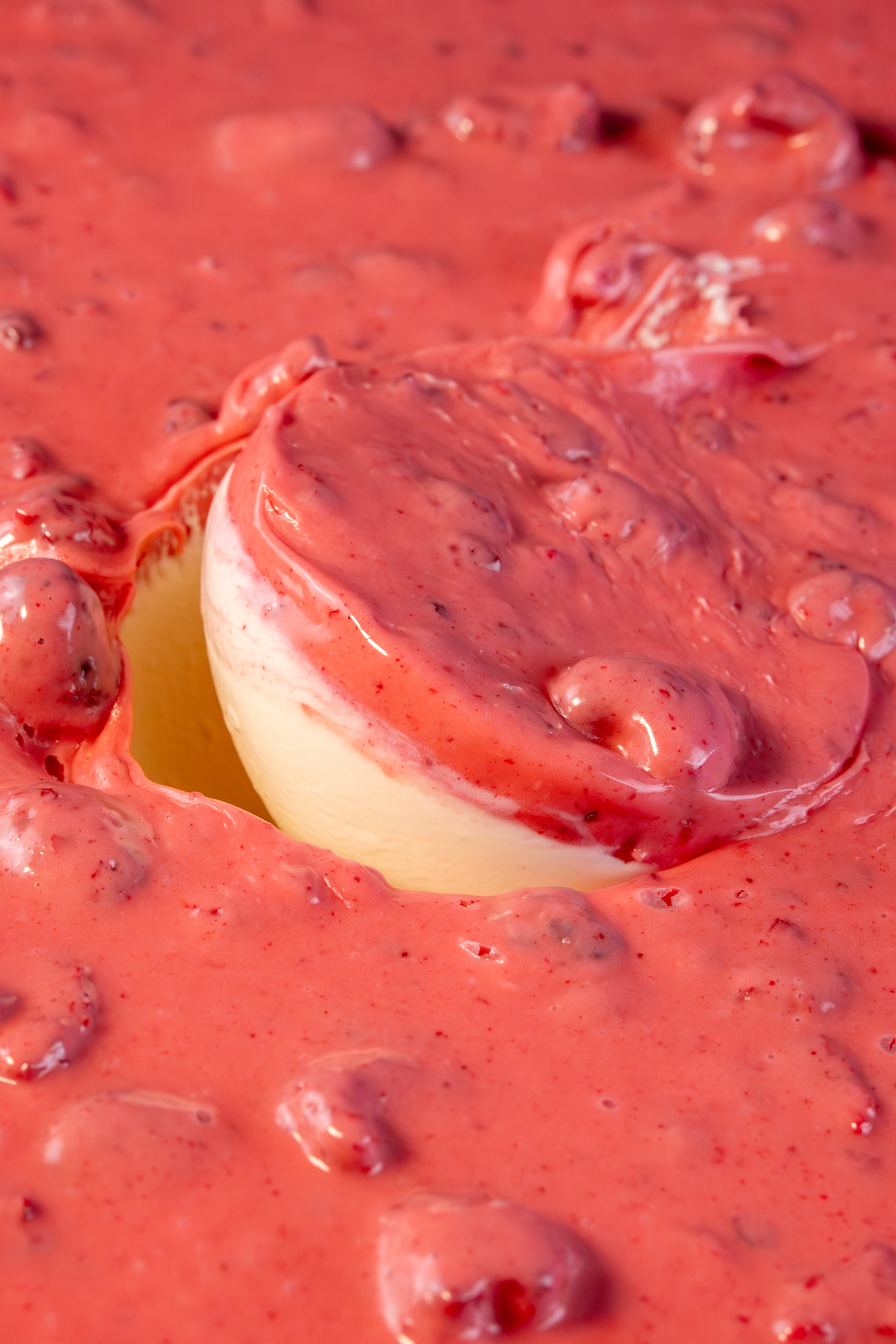 Crunchy Himbeer | 'Crunchy Lampone Deliziosa' Variegato