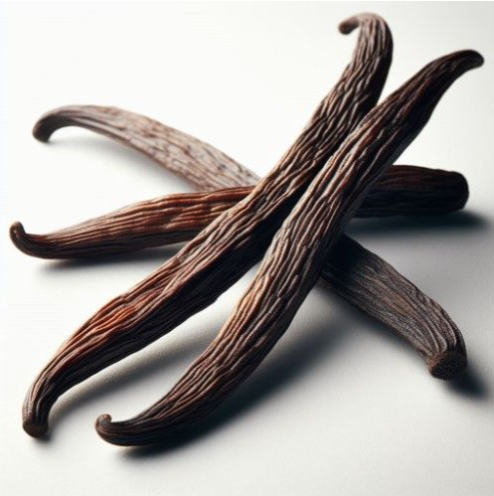 BIO Bourbon Vanille gemahlen