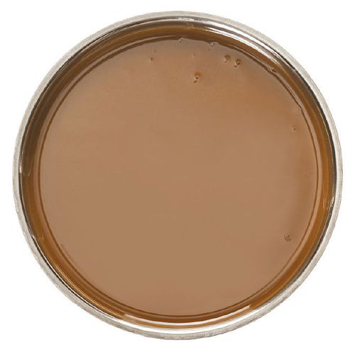 Haselnuss | Nocciola 100% Paste geröstet Piemont